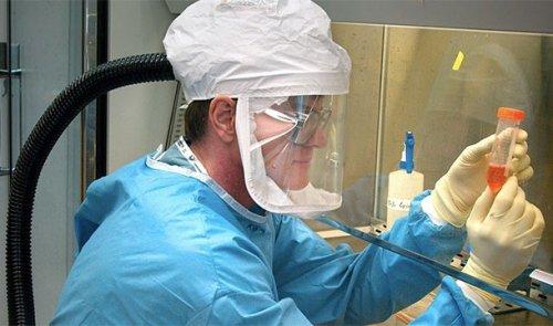 Интересные факты о рнк. Поразительные факты о ДНК в закладки 13