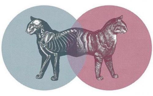 Парадоксы физики. Парадокс - это... Парадоксы физики. Теория парадоксов