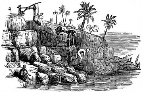 Шадуф. Что такое шадуф: история и современность