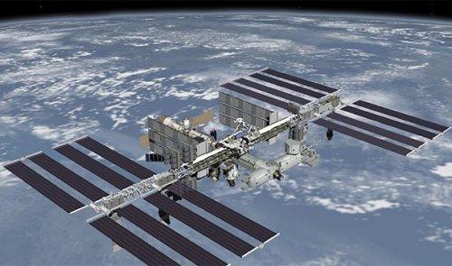 Интересные факты о рнк. Поразительные факты о ДНК в закладки 13