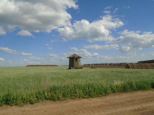 Таинственный Урал. НА ЮЖНОМ УРАЛЕ НАЙДЕНА РЕДКАЯ МОНЕТА HAЦИCTCКOЙ ГЕРМАНИИ