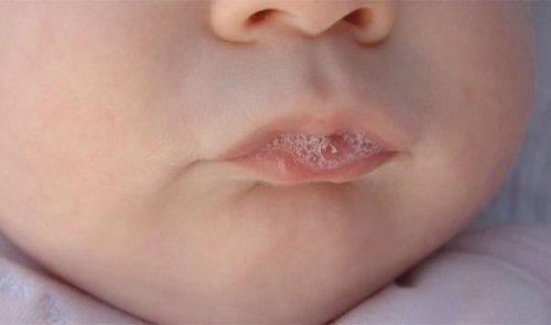 Интересные факты о рнк. Поразительные факты о ДНК в закладки 13