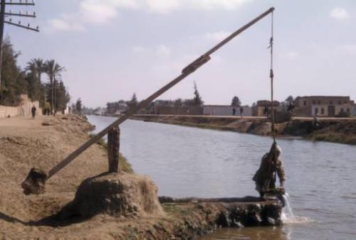 Шадуф. Что такое шадуф: история и современность