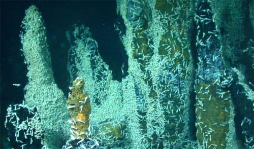 Что будет если солнце исчезнет. Что произойдет с Землей, если исчезнет Солнце 