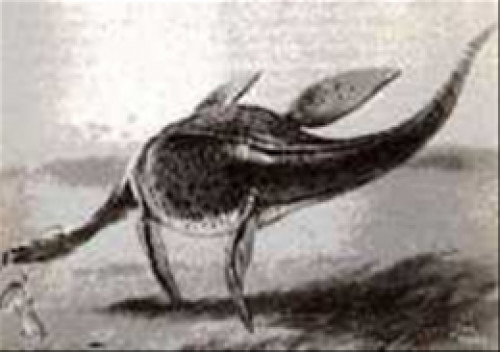 Чудовище шамп. Шамп – загадочное чудовище озера Шамплейн