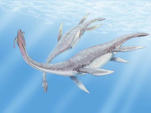 Шамп - американское «лох-несское» чудовище