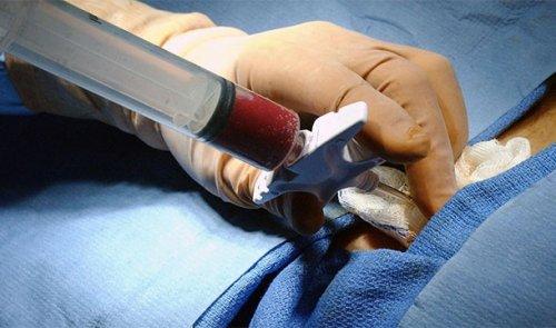 Интересные факты о рнк. Поразительные факты о ДНК в закладки 13