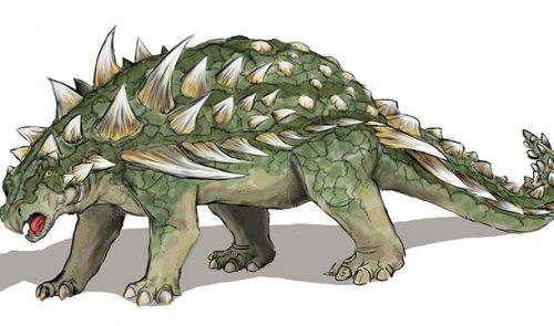 Интересные факты о рнк. Поразительные факты о ДНК в закладки 13