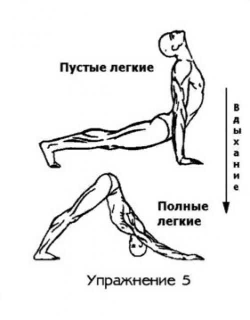 Гимнастика-тибетских монахов. Пятое упражнение
