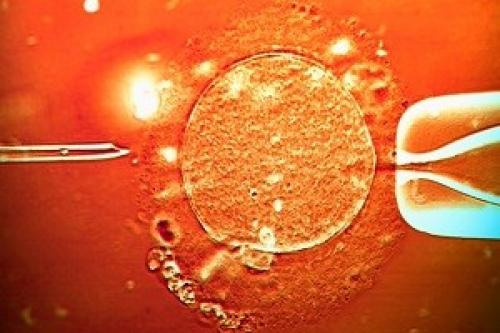 Интересные факты о ДНК человека. 23 интересных факта о ДНК