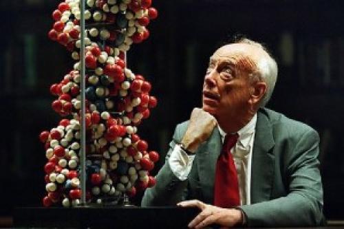 Интересные факты о ДНК человека. 23 интересных факта о ДНК