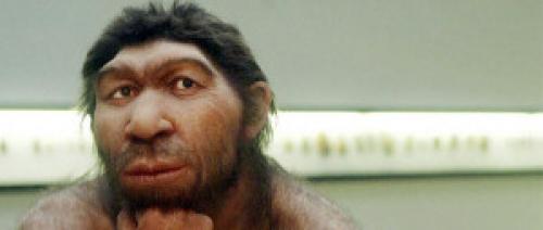 Интересные факты о ДНК человека. 23 интересных факта о ДНК