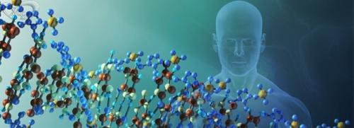 Интересные факты о днк/генетический код. Интересные факты о генетике, о которых вы даже не догадывались!