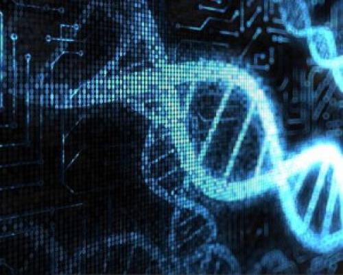 Интересные факты о ДНК человека. 23 интересных факта о ДНК