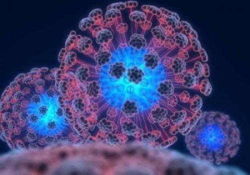 Интересные факты о ДНК человека. 23 интересных факта о ДНК