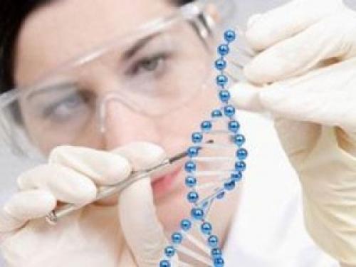 Интересные факты о ДНК человека. 23 интересных факта о ДНК