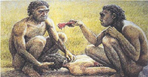 Кто были наши далекие предки. Как жили наши предки: взгляд в историю