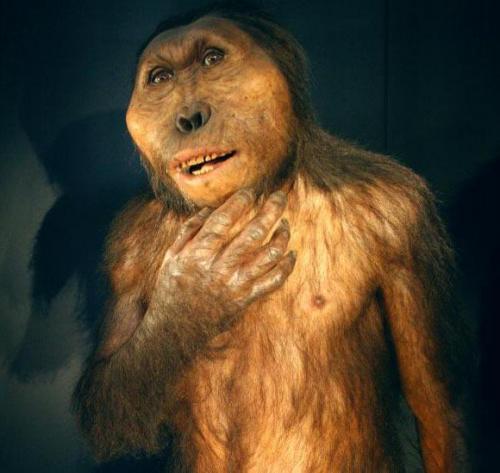 Кто были наши далекие предки. Как жили наши предки: взгляд в историю