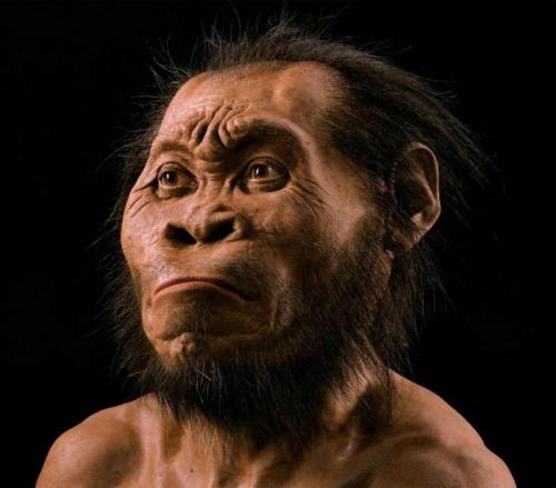 Кто были наши далекие предки. Как жили наши предки: взгляд в историю