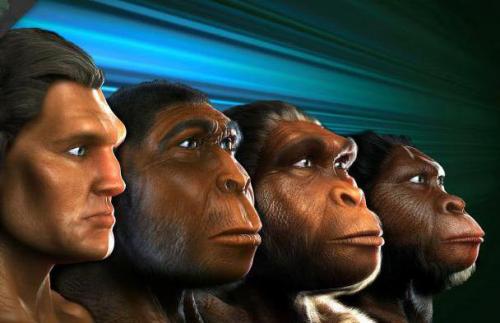 Кто были наши далекие предки. Как жили наши предки: взгляд в историю