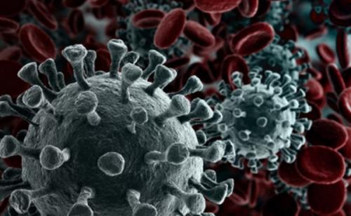 Опасен ли коронавирус для детей. Симптомы коронавируса у детей и что делать, если есть подозрения на болезнь