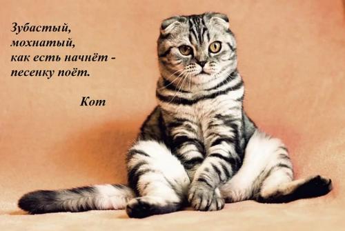 Загадки для детей 5-6 лет: 100 интересных и смешных загадок