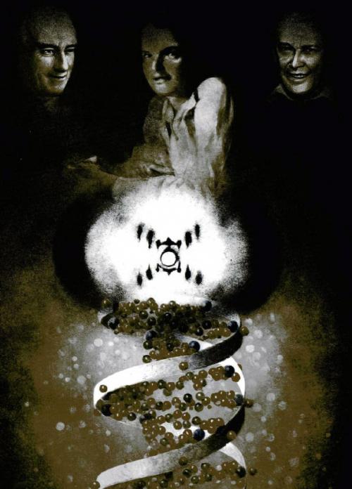 Расшифровка генома поможет создать лекарство от коронавируса. Найдено потенциальное лекарство от коронавируса в России 02