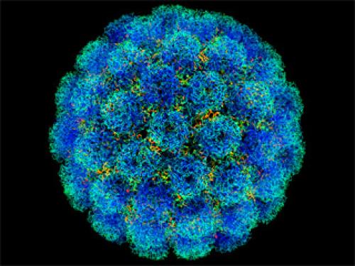 Разработчик вакцины против полиомиелита. Введение