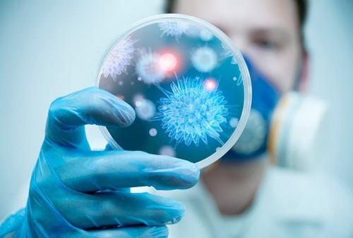 Разработчик вакцины от сибирской язвы. Прививка от сибирской язвы человеку: схема вакцинации и возможные побочные эффекты