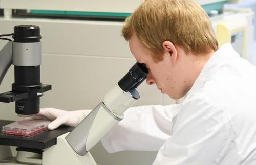 Когда появится вакцина против коронавируса? Российская вакцина от коронавируса поступит в оборот до конца 2020 года 01