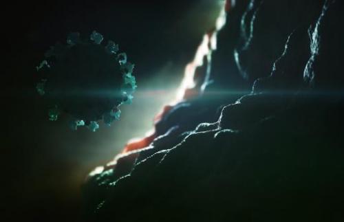 Когда появится вакцина против коронавируса? Российская вакцина от коронавируса поступит в оборот до конца 2020 года 02