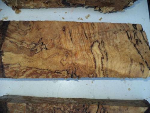 Гниль древесины. Разновидности гнили древесины