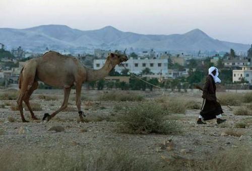 Интересные факты о географии. Интересные факты географии