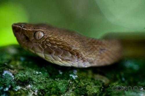 Интересные факты о географии. Интересные факты географии