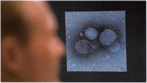 Как защититься от коронавируса 2019-nCoV 02 Как защититься от коронавируса 2019-nCoV 02