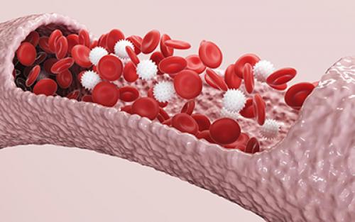 Влияние алкоголя на мозг и нервную систему. Как алкоголь влияет на нервную систему