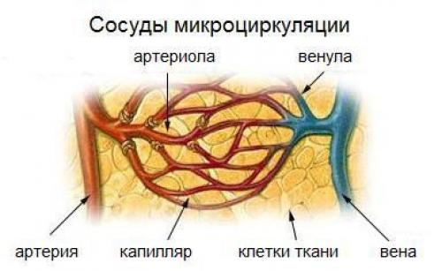 ЛФК при сердечно-сосудистых заболеваниях. Роль ЛФК в реабилитации при ИБС 03 ЛФК при сердечно-сосудистых заболеваниях. Роль ЛФК в реабилитации при ИБС 03