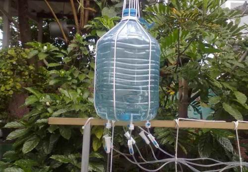 Капельный полив помидор своими руками. Как сделать систему орошения из пятилитровой пластиковой емкости своими руками?