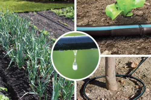 Капельный полив для туй своими руками. Как сделать капельный полив своими руками
