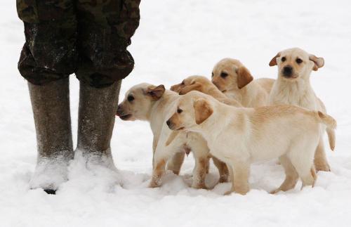 Какую одежду рекомендуется носить в период эпидемии гриппа. Что надеть