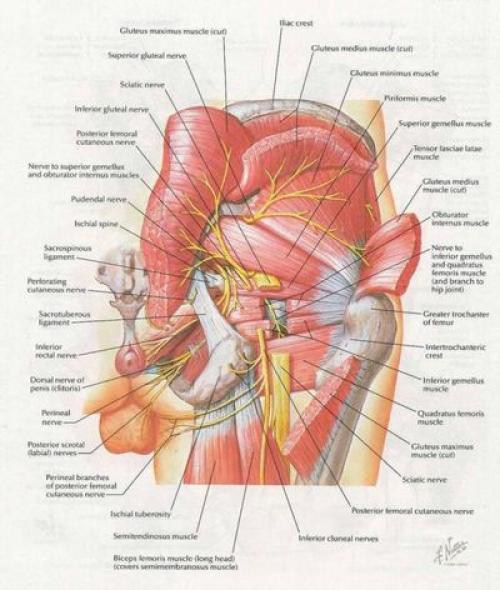 10 главных упражнений для тех. Топ-10 упражнений для глаз 12 10 главных упражнений для тех. Топ-10 упражнений для глаз 12