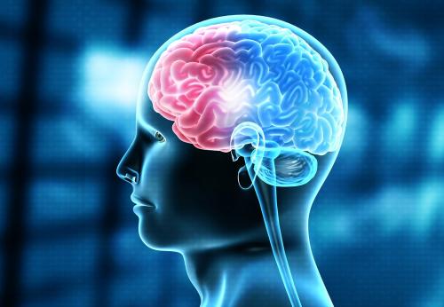 Атеросклероз сосудов головного мозга, как лечить. Как проявляется и лечится атеросклероз сосудов головного мозга?