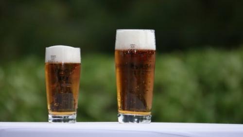 Пиво польза и вред. Чем полезно пиво и как правильно его употреблять