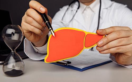 Влияет ли кодировка на печень. Влияние алкоголя на печень