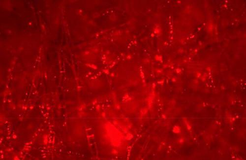 Какие материалы используются для производства масок для защиты от COVID-19. Какой материал не пропускает вирусы