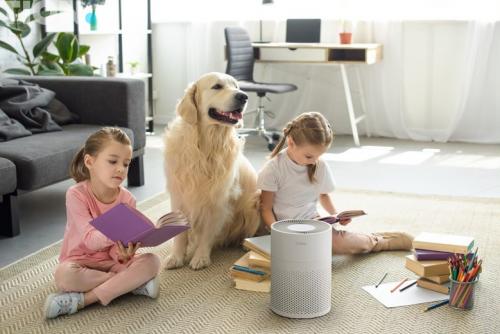 Какие приборы могут очистить воздух от вирусов. Комбинированные