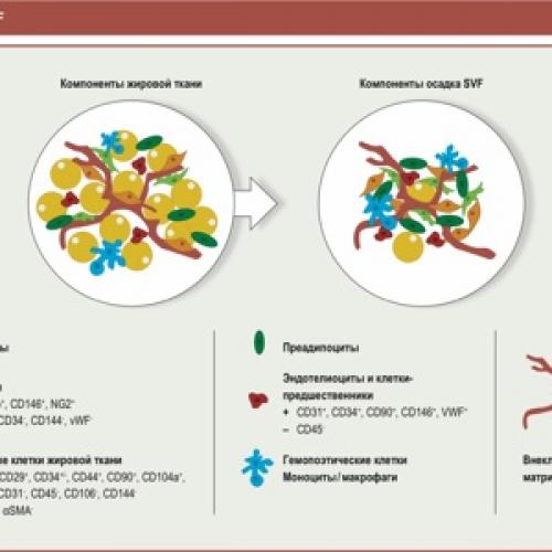 Борьба с коронавирусом: как выбрать подходящий респиратор 02 Борьба с коронавирусом: как выбрать подходящий респиратор 02