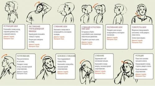 7 упражнений при шейном остеохондрозе. Шея