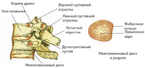 Основные методы профилактики остеохондроза 02 Основные методы профилактики остеохондроза 02