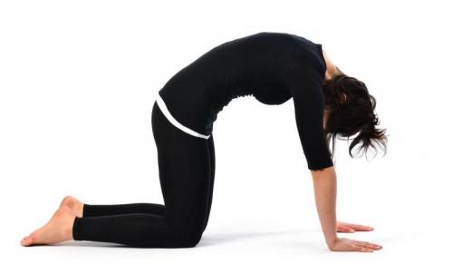 Упражнения при остеохондрозе грудного отдела. Конкретные техники